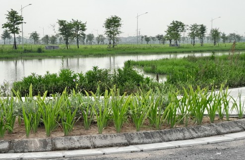 Chính chủ bán lô NV07A KĐT HUD Mê Linh Central Thanh Lâm Đại Thịnh, đường 15m, chỉ 4.x tỷ
